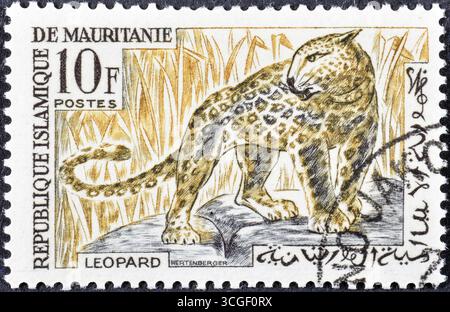 Gestempelte Briefmarke von Mauretanien, die Leopard (Panthera pardus) zeigt, um 1963. Stockfoto