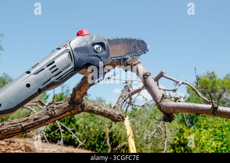 Eine Motorsäge schneidet einen dicken trockenen Baumzweig unter der Sommersonne in einer Nahaufnahme im Freien vor einem blauen Himmel in einer mediterranen Umgebung Stockfoto