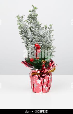 Weihnachtsbaum in einer roten Folienvase isolierter Naturhintergrund mit Schneideweg Stockfoto