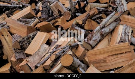 Ein Haufen frisch geschnittenes Brennholz: Frisch unter dem Regen geschnitten Stockfoto