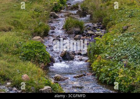Kristallklares Wasser fließt einen Bach hinunter auf einer üppig grünen Wiese und schafft eine friedliche und ruhige natürliche Szene Stockfoto