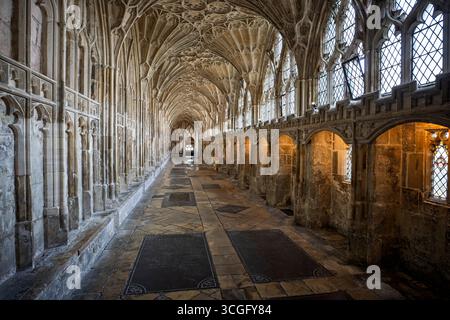 Mittelalterliche Kreuzgänge der Kathedrale von Gloucester mit gewölbter Decke und Buntglasfenstern in Gloucester, Goucestershire, Großbritannien am 22. August 2025 Stockfoto