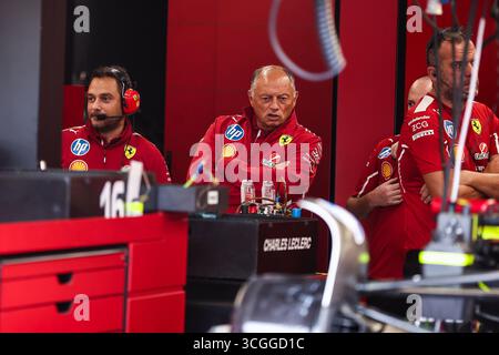 Zandvoort, Pays Bas. August 2025. VASSEUR Frédéric (fra), Teamchef und General Manager der Scuderia Ferrari, Porträt während des Formel 1 Heineken Grand Prix 2025, 15. Runde der FIA Formel 1 Weltmeisterschaft 2025 vom 29. Bis 31. August 2025 auf dem Zandvoort Circuit in Zandvoort, Niederlande - Foto Eric Alonso/DPPI Credit: DPPI Media/Alamy Live News Stockfoto