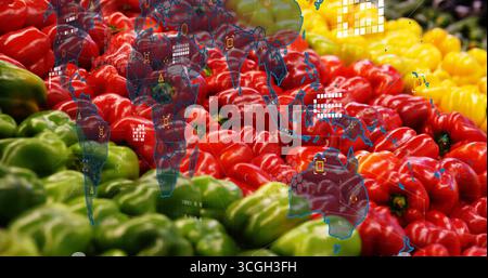 Anzeige grüner roter und gelber Paprika am Marktstand, mit Weltkarte und Datensymbolen Stockfoto