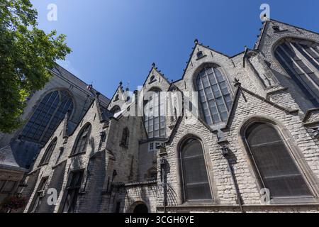 Die komplizierte und großartige Architektur der Kirche Sint Janskerk in Gouda mit detaillierten Steinarbeiten und großen bogenförmigen Fenstern, die bis zu einer Brigade reichen Stockfoto