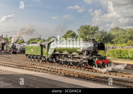 GWR 'Castle' 4-6-0 No. 4079 'Pendennis Caatle' und BR 'A3' 4-6-2 No. 60103 'Flying Scotsman', Didcot Railway Centre, Oxfordshire, England, Vereinigtes Königreich Stockfoto