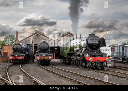 Ein großer westlicher König und eine Burg teilen sich einen Schuppen mit der BR A3 4-6-2 No. 60103 Flying Scotsman, Didcot Railway Centre, Oxfordshire, England, Großbritannien Stockfoto