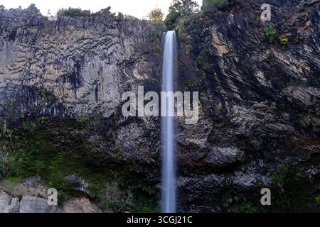 Foto: Bridal Veil Falls, Waireinga Scenic Reserve, Makomako, Hamilton, Neuseeland. Stockfoto