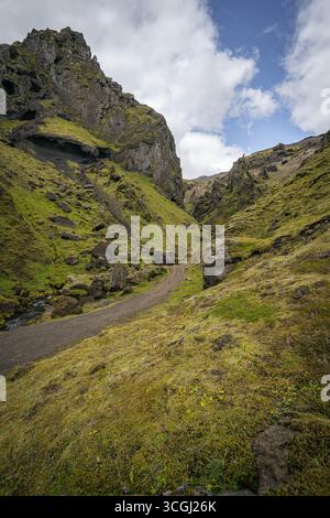 Schmaler Pfad, der sich durch moosbedeckte vulkanische Klippen und zerklüftetes grünes Tal unter einem teilweise bewölkten Himmel in Island schlängelt Stockfoto