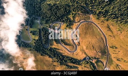 Filmische Luftaufnahme der gewundenen Alpenstraße mit weiten Kurven durch goldene Hügel und dichten Wald in den Dolomiten Italien Stockfoto