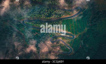 Filmischer Blick auf die gewundene Bergstraße mit dramatischen Haarnadelkurven durch nebelgrünen Wald in den Dolomiten Italien Stockfoto