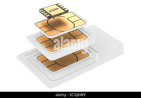 Satz von SIM-Karten, verschiedene Größen mit eSIM. Entwicklung der mobilen Karten, Konzept. 3D-Rendering isoliert auf weißem Hintergrund Stockfoto