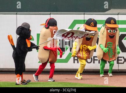 Baltimore, USA. August 2025. BALTIMORE, MD - 28. AUGUST: Orioles Mascot The Bird startet das Hot Dog-Rennen während eines MLB-Spiels zwischen den Baltimore Orioles und den Boston Red Sox am 28. August 2025 im Oriole Park in Camden Yards in Baltimore, Maryland. (Foto: Tony Quinn/SipaUSA) Credit: SIPA USA/Alamy Live News Stockfoto