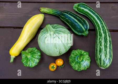 Issaquah, Washington, USA. Frisch geernteter Kürbis und Zucchini, einschließlich Yellow Zephyr Squash, Ronde de Nice Squash (rund hellgrün), Green Ligh Stockfoto
