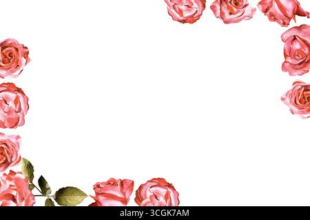 Aquarelltafel mit Rosenblumen und Blättern in den Ecken. Ideal für Hintergründe, Einladungen usw. Stockfoto