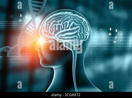 Kopf und Gehirn des Menschen mit DNA-Anatomie auf abstraktem wissenschaftlichen Hintergrund. 3D-Abbildung Stockfoto