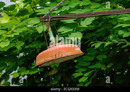 Rustikale Außenleuchte mit Rost auf einem Metallarm, umgeben von üppig grünen Blättern. Stockfoto