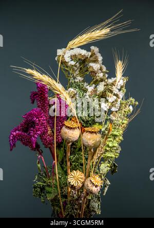 Getrockneter Blumenstrauß und Weizenstiele vor dunklem Hintergrund Stockfoto