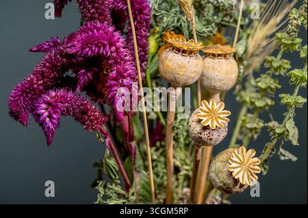 Getrockneter Blumenstrauß und Weizenstiele vor dunklem Hintergrund Stockfoto