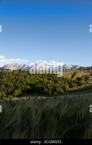 Eine schöne Aufnahme einer italienischen Region mit Bergen im Hintergrund Stockfoto
