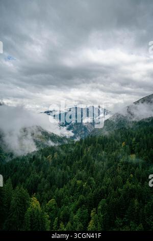 Nebel über dichten Nadelwald in den Dolomiten mit Bergkulisse unter stürmischen Wolken und dramatischer alpiner Landschaft Stockfoto