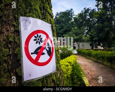 Ein Schild auf einem Baum, das das Sammeln von Blumen in einer Parklandschaft verbietet. Stockfoto