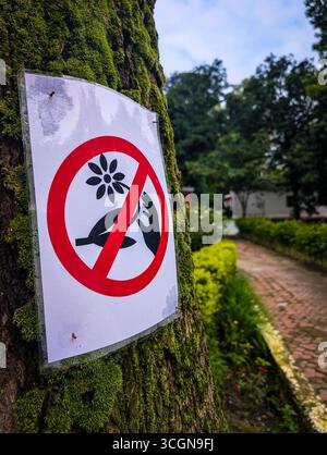 Ein Schild auf einem Baum, das das Sammeln von Blumen in einer Parklandschaft verbietet. Stockfoto