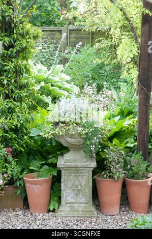 Ein wunderschöner Steintopf mit verschiedenen Pflanzen steht zwischen üppigem Laub und Terrakotta-Töpfen und schafft eine friedliche Gartenatmosphäre. Stockfoto