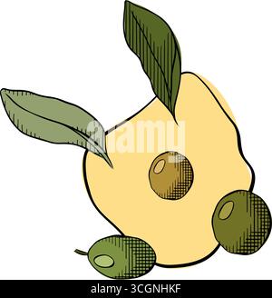 Zusammensetzung der Olivenölpuddellen. Vektorgrafik Linie farbige Illustration. Olivenöl, Pfütze, Beeren, grüne Blätter, Hintergrund für Banner, drucken für Stock Vektor