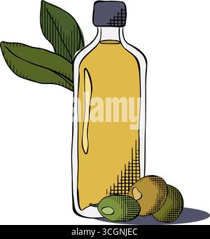 Olivenzweige und Olivenölflasche isoliert auf weißem Hintergrund. Natives Olivenöl extra. Zusammensetzung der Olivenölflasche. Farbfarbe für Vektorgrafik Stock Vektor