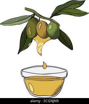 Olivenöl tropft in eine kleine Schüssel. Zusammensetzung der Olivenölschüssel. Vektorgrafik Linie farbige Illustration. Olivenöl, Schüssel, Zweig, Beeren, GREE Stock Vektor