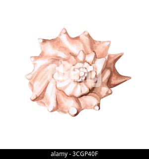 Muschel. Isolierte Aquarellillustration einer Schale für die Dekoration von Fischrestaurants, Mottopartys, Drucken auf Plakaten, Stoffen und Kleidung Stockfoto