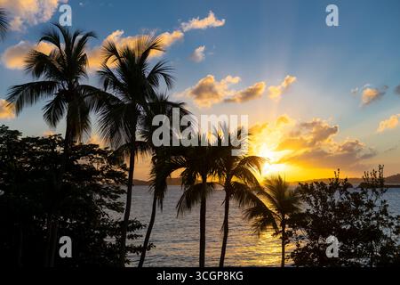 Sonnenuntergang über St. Thomas vom Gallows Point Cruz Bay St. John USVI // St. JOHN, USVI — Ein Sonnenuntergang wirft goldene Strahlen über das Wasser, wie vom Gallows Point in Cruz Bay aus gesehen, mit der weit entfernten Insel St. Thomas am Horizont. Palmen und üppiges Laub bilden eine Silhouette vor dem pulsierenden Himmel. Die Szene fängt die tropische Schönheit der amerikanischen Jungferninseln in der Abenddämmerung ein. Stockfoto