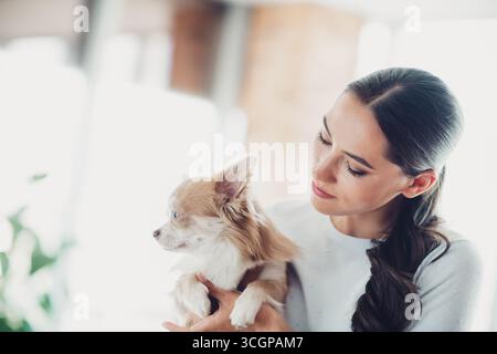 Junge Frau, die einen kleinen Hund hält und das gemütliche Sonnenlicht in einem modernen Apartment mit hellem Tageslicht genießt. Stockfoto