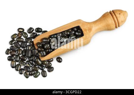 Schwarze Bohne oder Urad dal, schwarzes Gramm, vigna mungo in Holzschaufel isoliert auf weißem Hintergrund. Draufsicht. Flache Lagen. Stockfoto