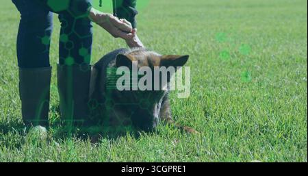 Hand auf Schäferhund legen, Seniorin in Gummistiefeln auf dem Grasfeld mit digitaler Überlagerung Stockfoto