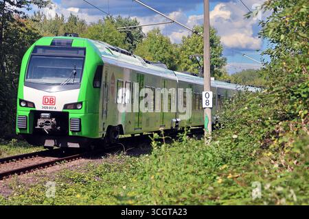 S-Bahn Rhein/Ruhr Linie S9 die S9 der DB-Regio S-Bahn Rhein/Ruhr zwischen Recklinghausen und Hagen durchfährt einen landschaftlich attraktiven Bereich über Land. Essen Nordrhein-Westfalen Deutschland *** S-Bahn Rhein-Ruhr-Linie S9 die S9 der DB Regio S-Bahn Rhein Ruhr zwischen Recklinghausen und Hagen führt durch ein landschaftlich reizvolles Gebiet über das Land Essen Nordrhein-Westfalen Deutschland Stockfoto