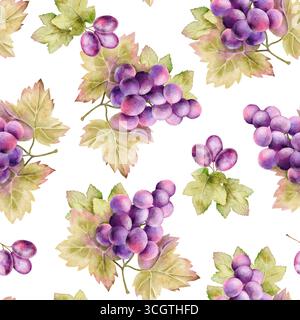 Nahtloses Aquarellmuster mit Trauben und Blättern. Handgemaltes Design auf weißem Hintergrund. Perfekt für Küchentextilien, Scrapbooking, Verpackung Stockfoto