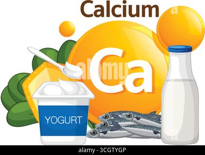 Flat vector illustration of calcium-rich foods: yogurt, milk, leafy greens, and fish. Stock Vektor