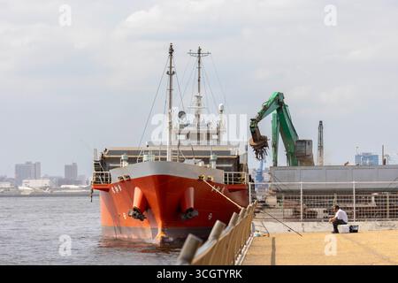 Ein Frachtschiff wird in der Bucht von Tokio mit Schrott beladen. Im Jahr 2025 haben die Zölle von Präsident Trump in der zweiten Amtszeit, darunter eine 25%ige Abgabe auf importierte Autos und Teile sowie ein "Gegenseitigkeitszoll" von 24% auf andere japanische Waren, die Japans exportgetriebene Wirtschaft erheblich unter Druck gesetzt, die für etwa 20% seiner gesamten Exporte von den USA abhängig ist (wobei allein Autos 28% davon ausmachen). Diese Maßnahmen, die im Rahmen des International Emergency Economic Powers Act erlassen wurden, führten zu unmittelbaren Auswirkungen: Japans Nikkei-Index sank im April auf 9%, die Produktion der Fabriken fiel im März um 1,1% (schlimmer als erwartet, verzögert Stockfoto