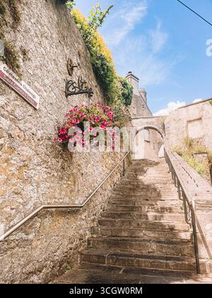 Kilkenny Irland, Juli 2023 Steinmauer mit einem Schild und einem Blumentopf an der Wand. Im Blumentopf sind rosa Blüten. Die Wand ist von mir bedeckt Stockfoto