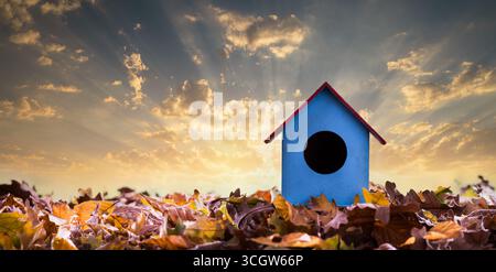 Ein kleines blaues Vogelhaus steht inmitten farbenfroher Herbstblätter vor einem dramatischen Sonnenuntergangshimmel im Hintergrund. Saisonale Konzepte Stockfoto