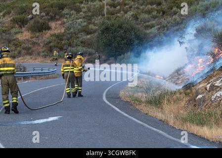 Eine Brigade von Feuerwehrleuten in gelben Uniformen bei einem Wildfire. Denken Sie an die koordinierten Bemühungen der Helden. Stockfoto