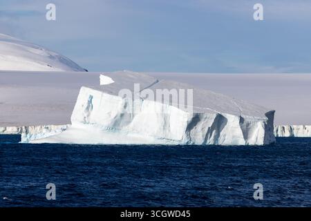 Eisberge, wilde Natur in Brown Bluff, Antarktis - Ostküste der Tabarin Halbinsel an der Südwestküste des Antarktischen Sunds Stockfoto