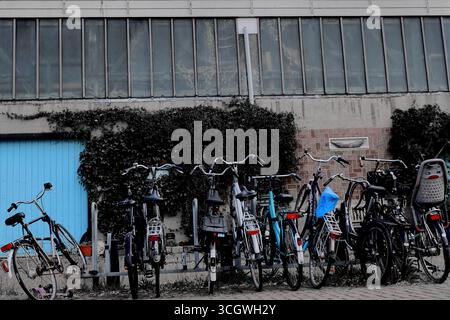 Geparkte Fahrräder in Levantkade vor Efeu-bedeckter Wand und blauer Tür, Amsterdam, Niederlande, typischer städtischer Parkplatz mit Kindersitz und Abdeckung sichtbar. Stockfoto