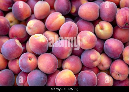 Frische Pfirsiche stapeln sich in einer Holzkiste auf einem Markt im Freien. Stockfoto