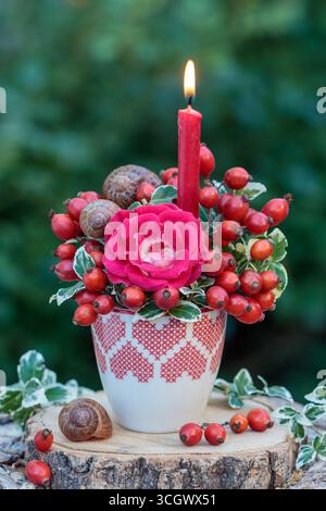 Blumenarrangement mit Kerze, roter Rose, Rosenhüften und Schneckenschalen in einem Becher mit Herzverzierung Stockfoto