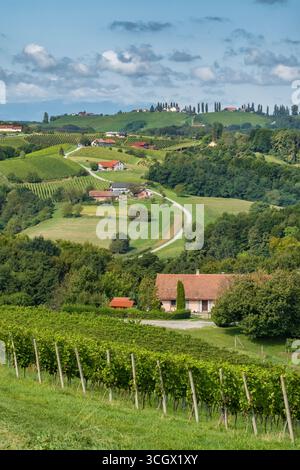 Weinberge in der Weinregion Jeruzalem in Ostslowenien Stockfoto