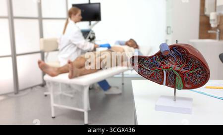 Lebersonographie. Der Patient, der sich einer Leber- und Gallenblasenuntersuchung unterzieht, liegt in der medizinischen Klinik in der Nähe des Sonographen und des Ultraschallgeräts Stockfoto