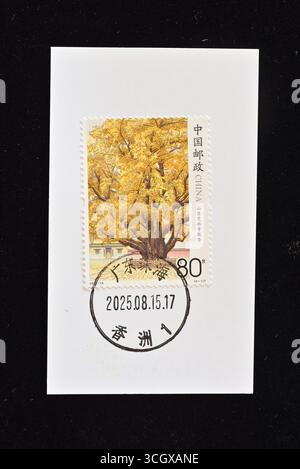 CHINA - CA. 2025: In China gedruckte Briefmarken zeigen Sondermarken von alten und berühmten Bäumen, ca. 2025. Stockfoto
